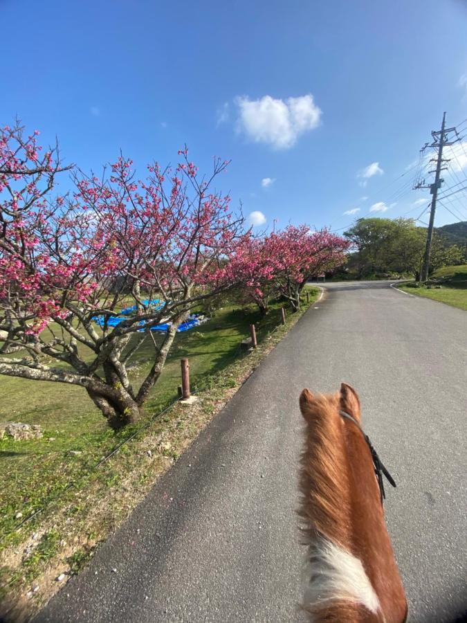 Muumin Farm Villa Nakijin Dış mekan fotoğraf