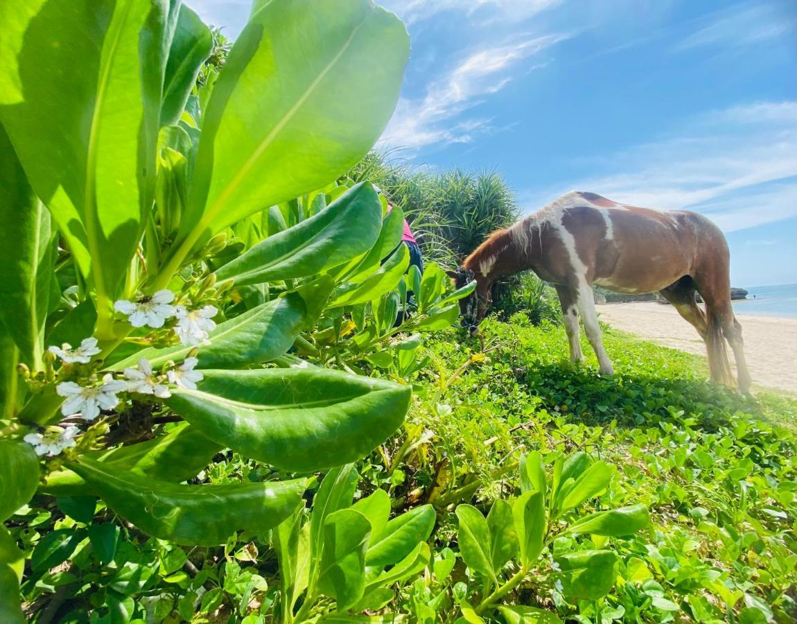 Muumin Farm Villa Nakijin Dış mekan fotoğraf