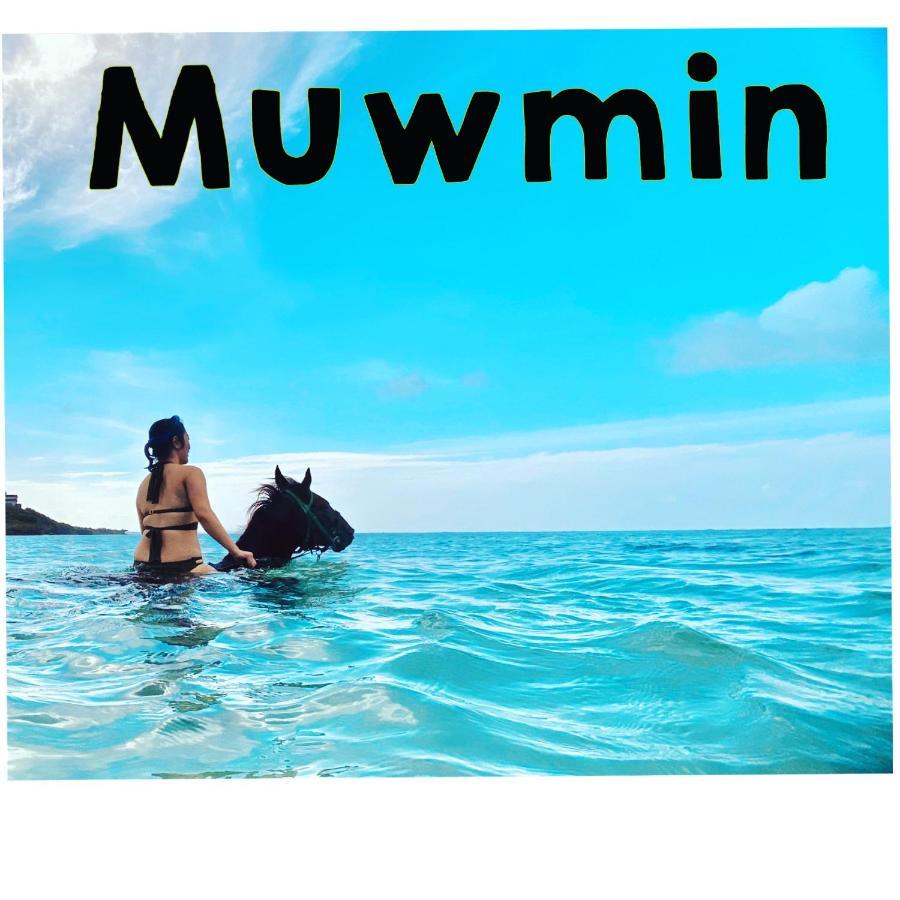 Muumin Farm Villa Nakijin Dış mekan fotoğraf