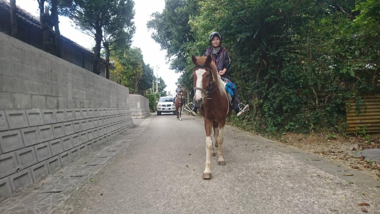 Muumin Farm Villa Nakijin Dış mekan fotoğraf