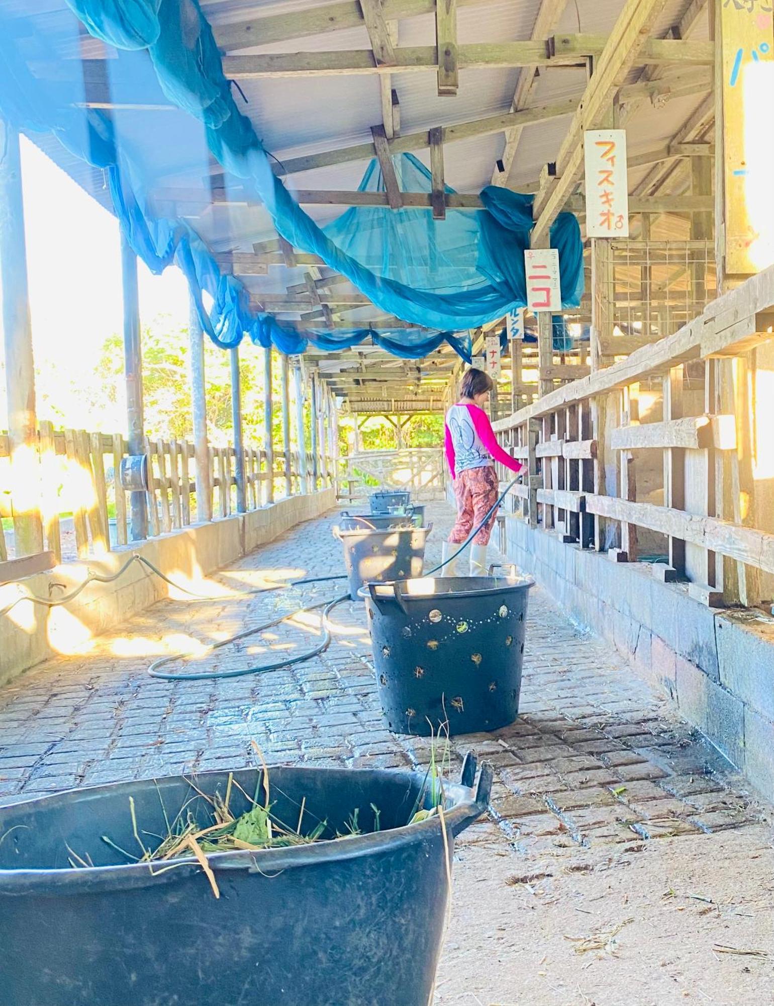 Muumin Farm Villa Nakijin Dış mekan fotoğraf