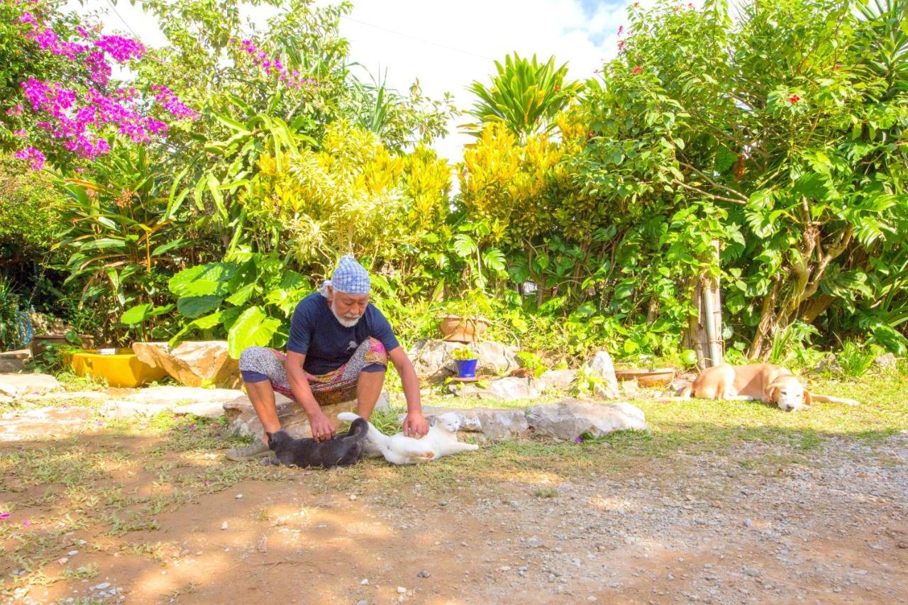 Muumin Farm Villa Nakijin Dış mekan fotoğraf