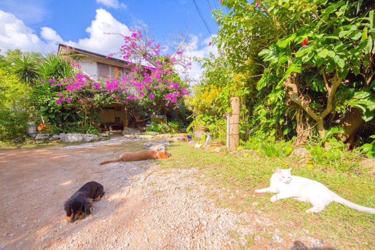 Muumin Farm Villa Nakijin Dış mekan fotoğraf